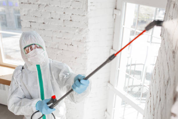 Best Indoor Air Quality Assessment  in Alburtis, PA