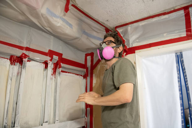 Best Real Estate Mold Inspection  in Alburtis, PA