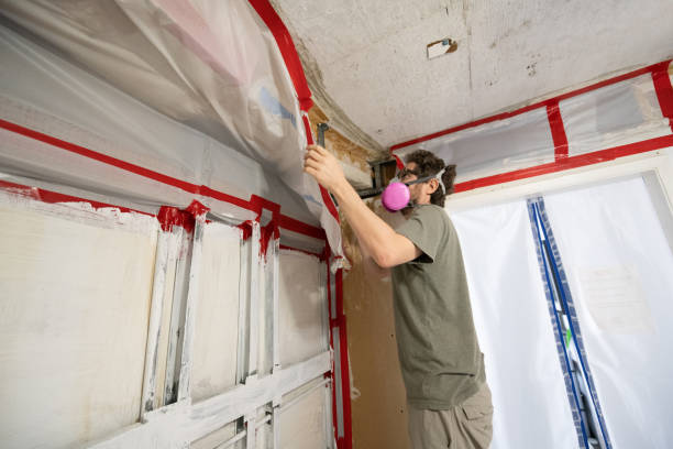 Best Comprehensive Air Testing for Mold Contaminants  in Alburtis, PA